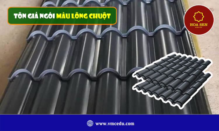 Tôn giả ngói màu lông chuột