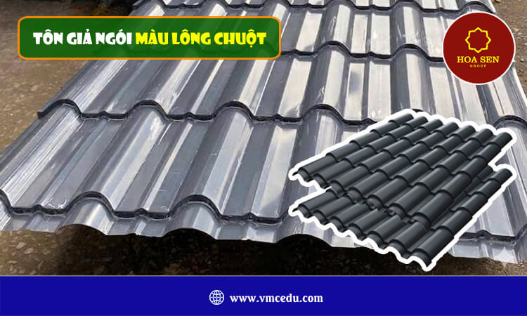 Tôn giả ngói màu lông chuột