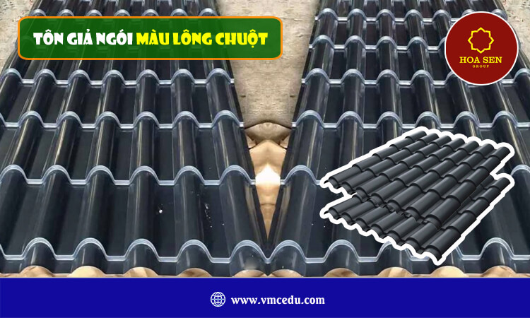 Tôn giả ngói màu lông chuột