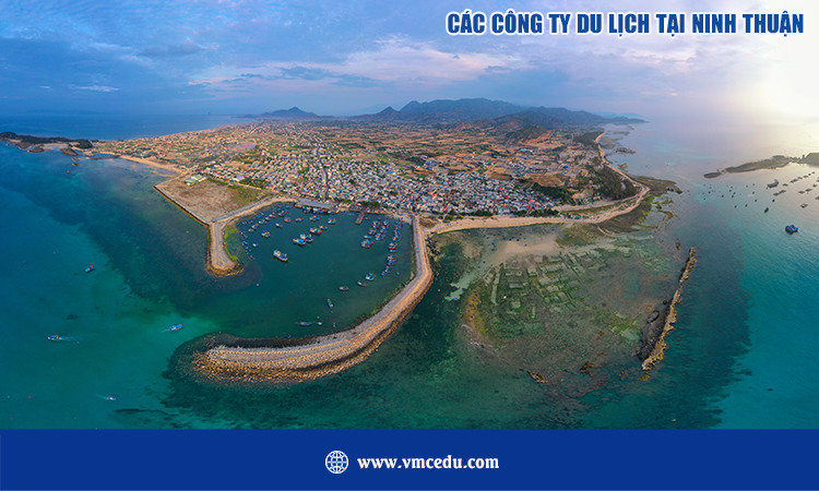 Các công ty tour du lịch tại Ninh Thuận