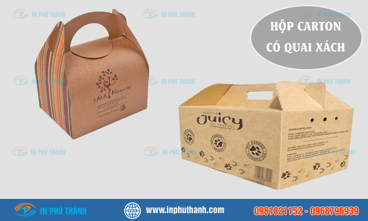 Hộp carton có quai xách 